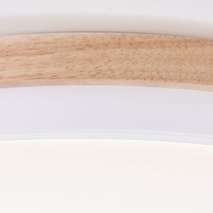 Brilliant - LED Stmievateľné stropné svietidlo BAARLO LED/24W/230V pr. 35 cm biela/gumovník - FSC certifikované