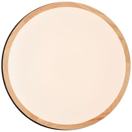 Brilliant - LED Stmievateľné stropné svietidlo BAARLO LED/24W/230V pr. 35 cm čierna/gumovník - FSC certifikované