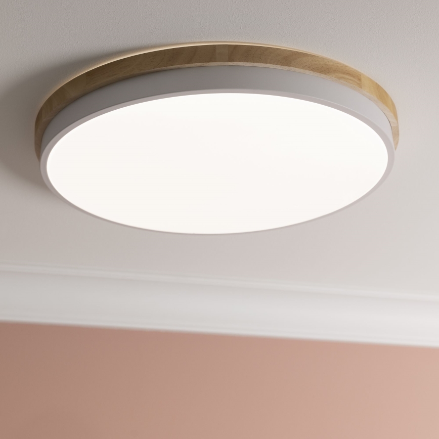 Brilliant - LED Stmievateľné stropné svietidlo BAARLO LED/36W/230V 3000-6500K pr. 50 cm biela/gumovník + diaľkové ovládanie - FSC certifikované