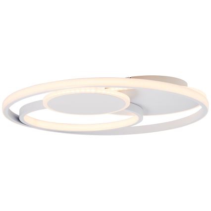 Brilliant - LED Stmievateľné stropné svietidlo RUNDA LED/50W/230V 3000-6500K biela + diaľkové ovládanie