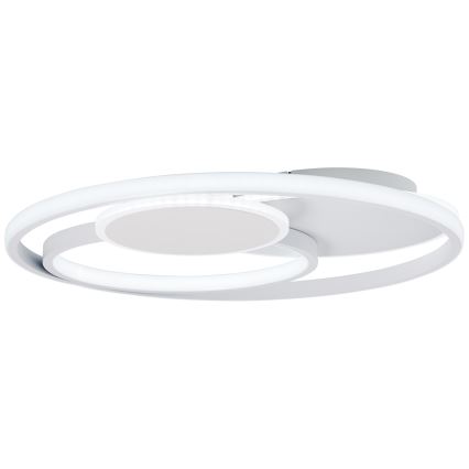 Brilliant - LED Stmievateľné stropné svietidlo RUNDA LED/50W/230V 3000-6500K biela + diaľkové ovládanie