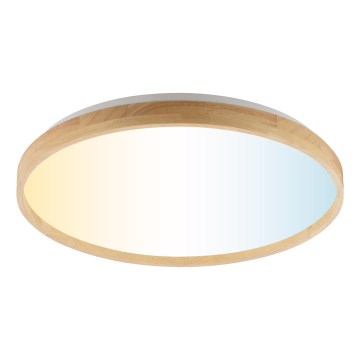 Brilliant - LED stmievateľné stropné svietidlo ALSON LED/21W/230V 3000-6500K pr. 49,5 cm kaučukovník + diaľkové ovládanie