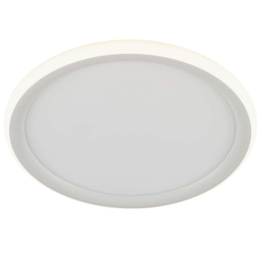 Brilliant - LED stmievateľné stropné svietidlo CARLOZ LED/16W/230V pr. 30 cm biela