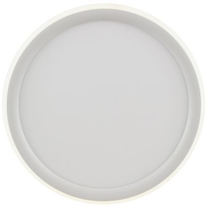 Brilliant - LED stmievateľné stropné svietidlo CARLOZ LED/16W/230V pr. 30 cm biela
