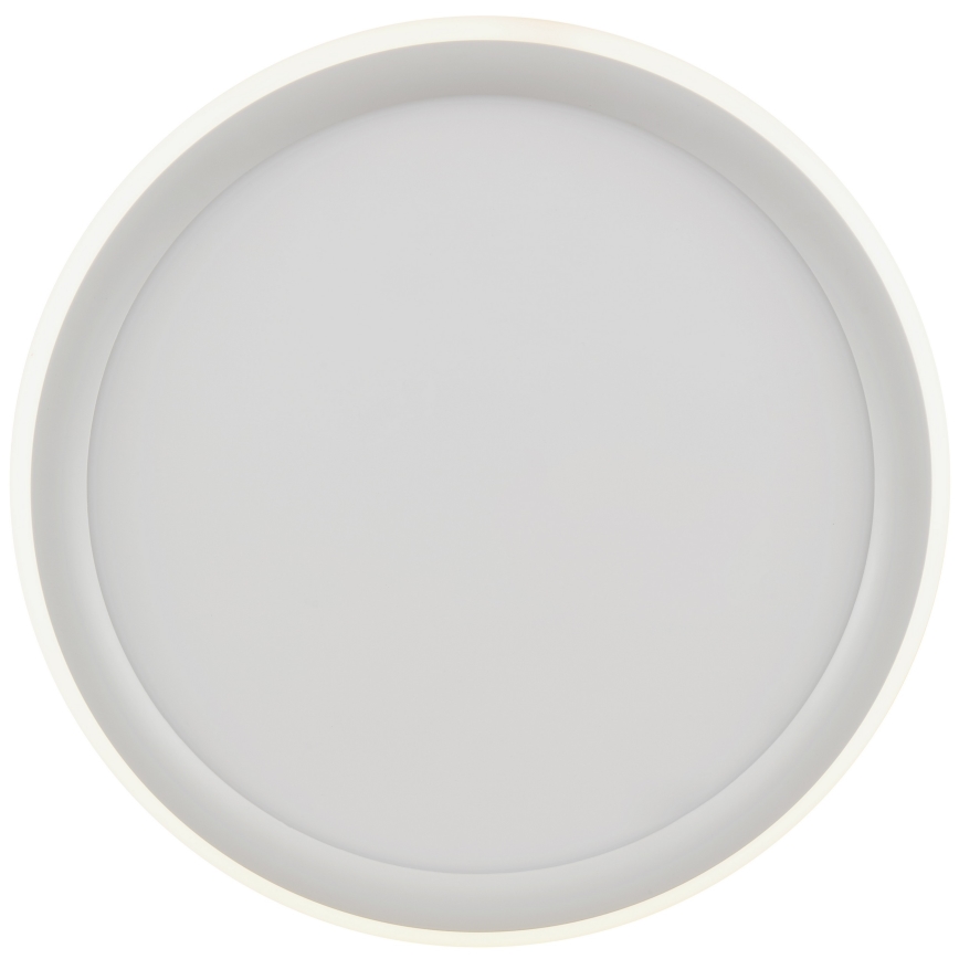 Brilliant - LED stmievateľné stropné svietidlo CARLOZ LED/16W/230V pr. 30 cm biela