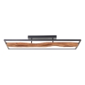 Brilliant - LED Stmievateľné stropné svietidlo CHAUMONT LED/48W/230V gumovník