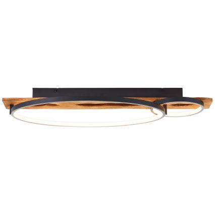 Brilliant - LED stmievateľné stropné svietidlo PIRUS LED/30W/230V 30x70 cm kaučukové drevo