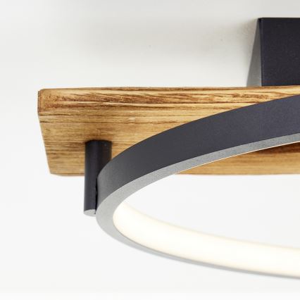 Brilliant - LED stmievateľné stropné svietidlo PIRUS LED/30W/230V 30x70 cm kaučukové drevo