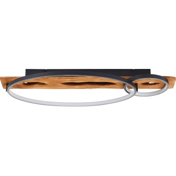 Brilliant - LED stmievateľné stropné svietidlo PIRUS LED/30W/230V 30x70 cm kaučukové drevo