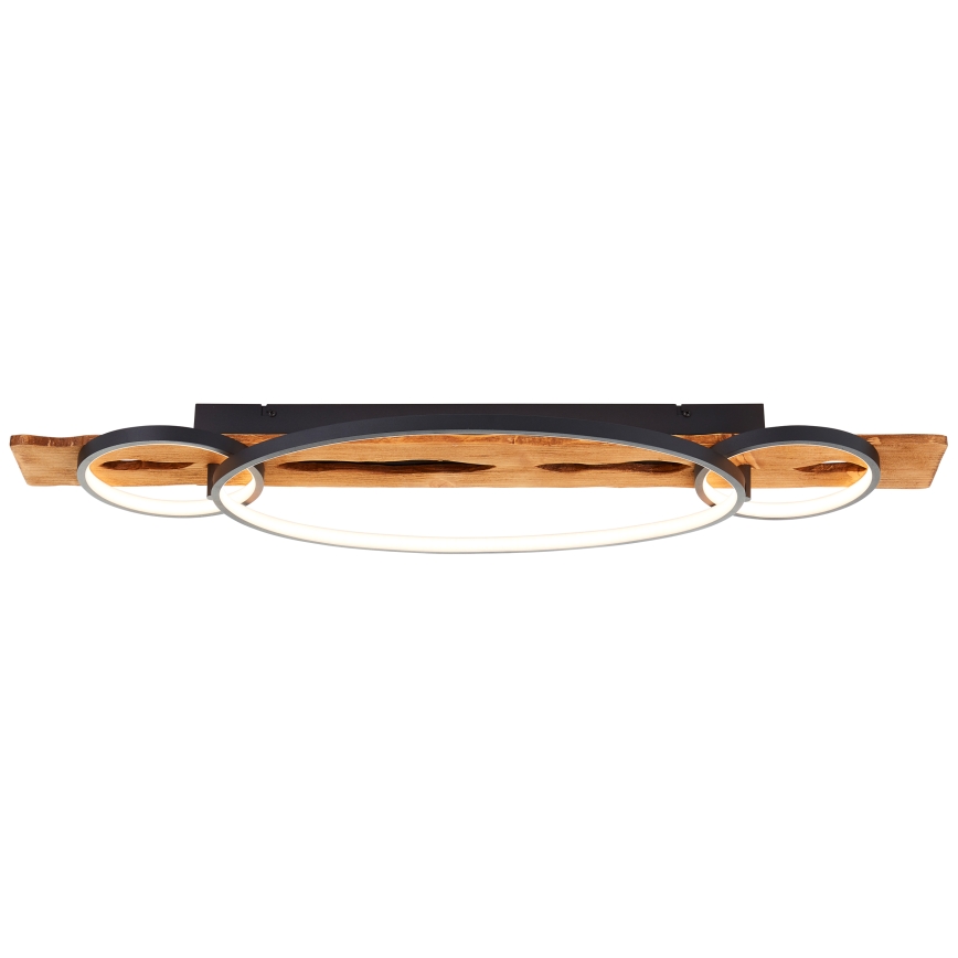 Brilliant - LED stmievateľné stropné svietidlo PIRUS LED/40W/230V 30x90 cm gumovník