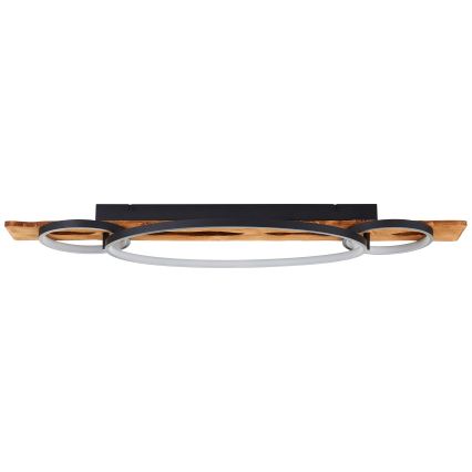 Brilliant - LED stmievateľné stropné svietidlo PIRUS LED/40W/230V 30x90 cm gumovník