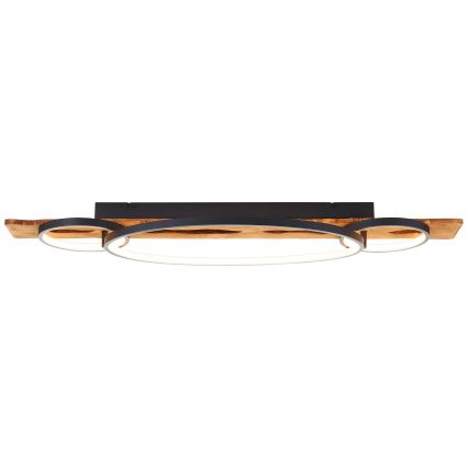 Brilliant - LED stmievateľné stropné svietidlo PIRUS LED/40W/230V 30x90 cm gumovník