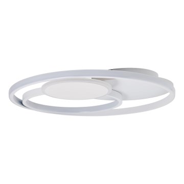 Brilliant - LED Stmievateľné stropné svietidlo RUNDA LED/50W/230V 3000-6500K biela + diaľkové ovládanie
