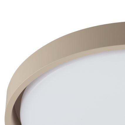 Brilliant - LED stmievateľné stropné svietidlo SANOZ LED/24W/230V 3000-6500K Ø 41 cm béžové + diaľkové ovládanie