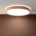 Brilliant - LED stmievateľné stropné svietidlo SLIMLINE LED/60W/230V 3000-6500K pr. 45 cm béžová + diaľkové ovládanie