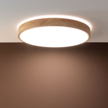 Brilliant - LED stmievateľné stropné svietidlo SLIMLINE LED/60W/230V 3000-6500K pr. 45 cm béžová + diaľkové ovládanie