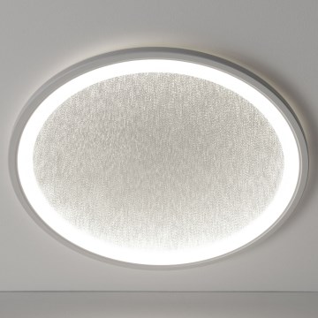 Brilliant - LED Stmievateľné stropné svietidlo TANIDA LED/31W/230V 3000-6500K + diaľkové ovládanie