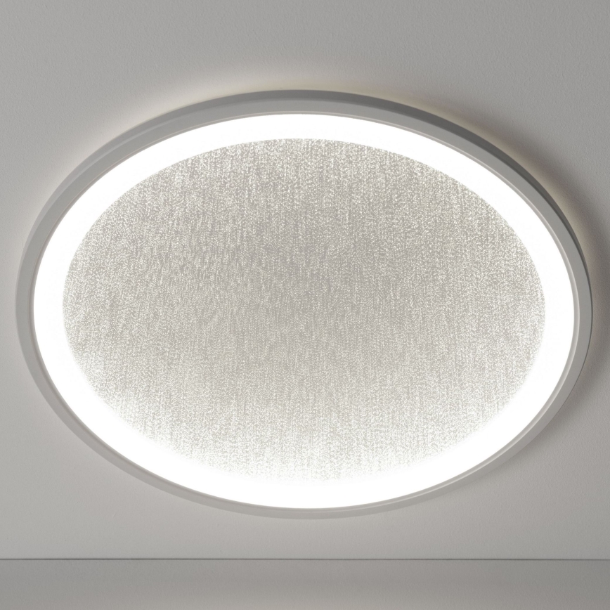 Brilliant - LED Stmievateľné stropné svietidlo TANIDA LED/31W/230V 3000-6500K + diaľkové ovládanie