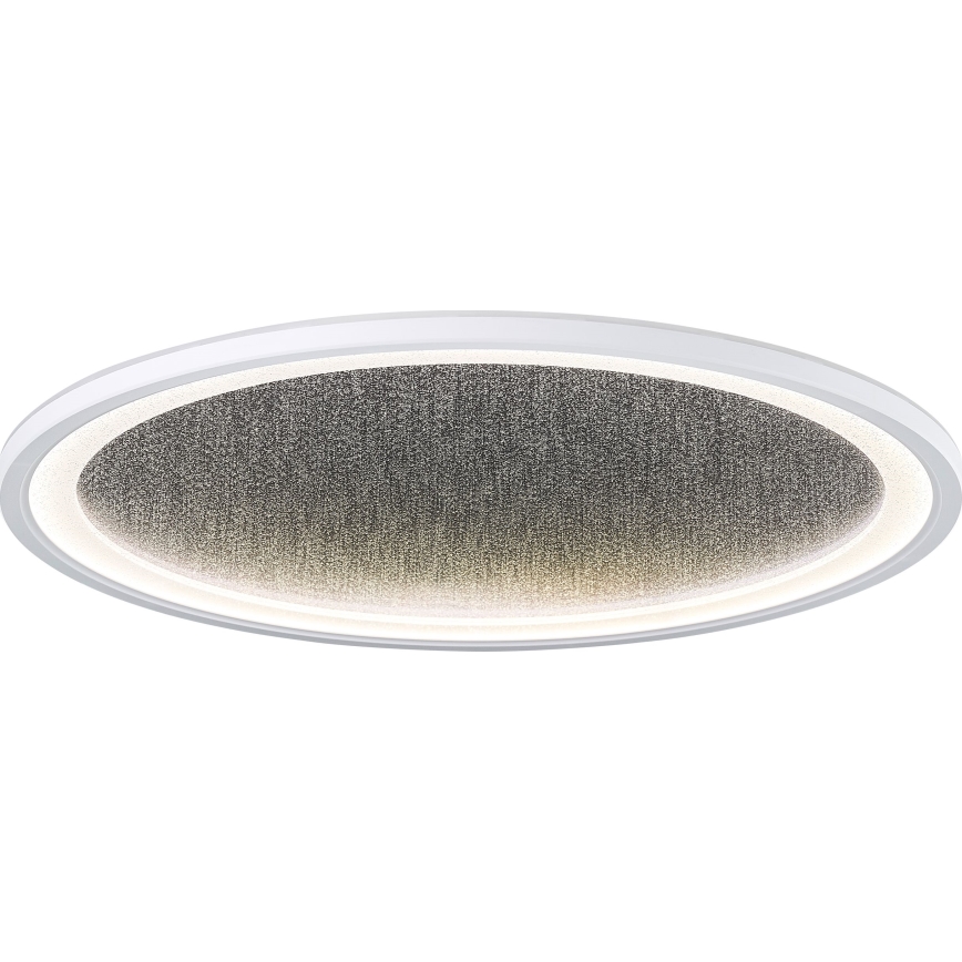 Brilliant - LED Stmievateľné stropné svietidlo TANIDA LED/31W/230V 3000-6500K + diaľkové ovládanie