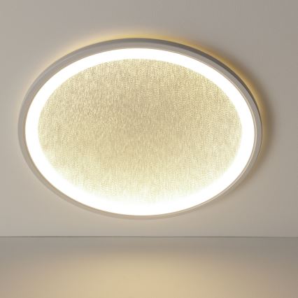 Brilliant - LED Stmievateľné stropné svietidlo TANIDA LED/31W/230V 3000-6500K + diaľkové ovládanie