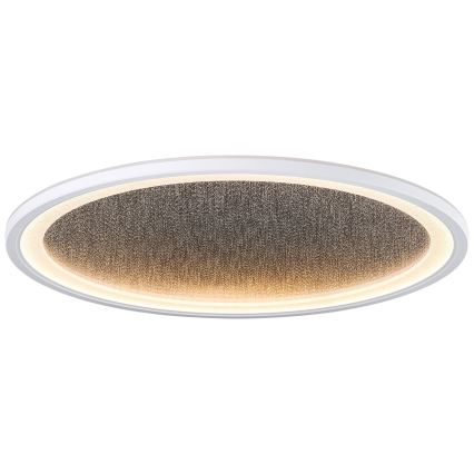 Brilliant - LED Stmievateľné stropné svietidlo TANIDA LED/31W/230V 3000-6500K + diaľkové ovládanie