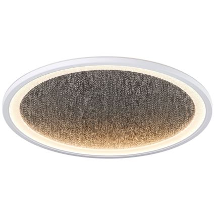 Brilliant - LED Stmievateľné stropné svietidlo TANIDA LED/31W/230V 3000-6500K + diaľkové ovládanie
