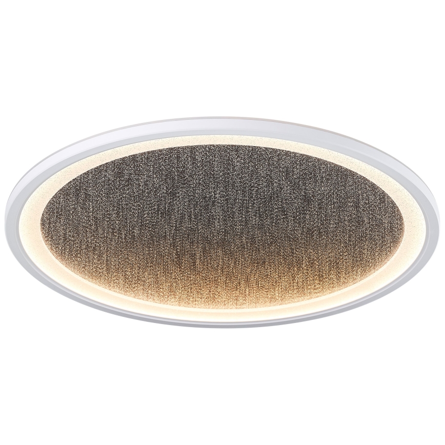 Brilliant - LED Stmievateľné stropné svietidlo TANIDA LED/31W/230V 3000-6500K + diaľkové ovládanie
