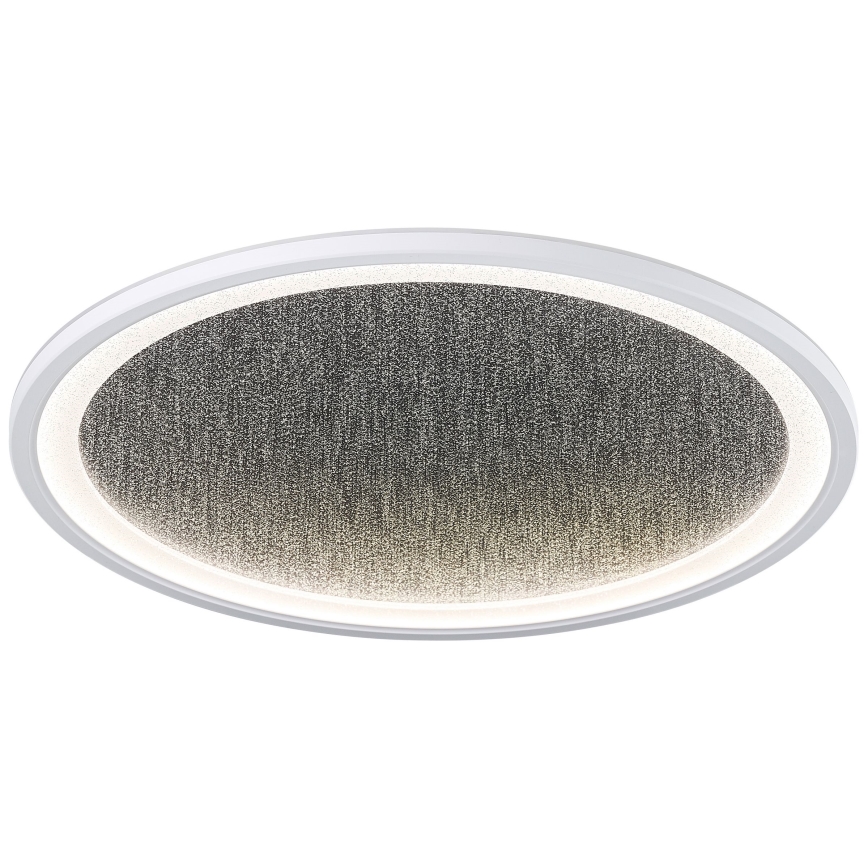 Brilliant - LED Stmievateľné stropné svietidlo TANIDA LED/31W/230V 3000-6500K + diaľkové ovládanie