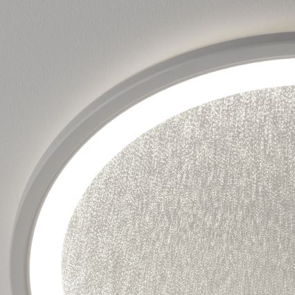 Brilliant - LED Stmievateľné stropné svietidlo TANIDA LED/31W/230V 3000-6500K + diaľkové ovládanie
