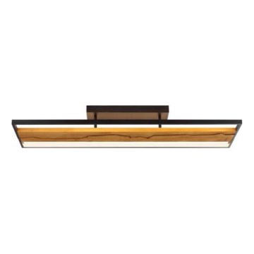 Brilliant - LED Stmievateľné stropné svietidlo THUNDER LED/42W/230V borovica
