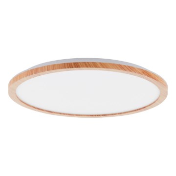 Brilliant - LED Stmievateľné stropné svietidlo TUCO LED/20W/230V pr. 29,5 cm biela/béžová