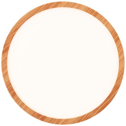 Brilliant - LED Stmievateľné stropné svietidlo TUCO LED/20W/230V pr. 29,5 cm biela/béžová