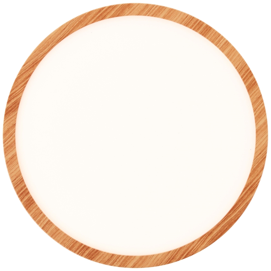 Brilliant - LED Stmievateľné stropné svietidlo TUCO LED/20W/230V pr. 29,5 cm biela/béžová