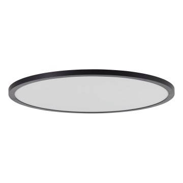 Brilliant - LED stmievateľné stropné svietidlo TUCO LED/33W/230V 3000-6500K pr. 50 cm čierne + diaľkové ovládanie