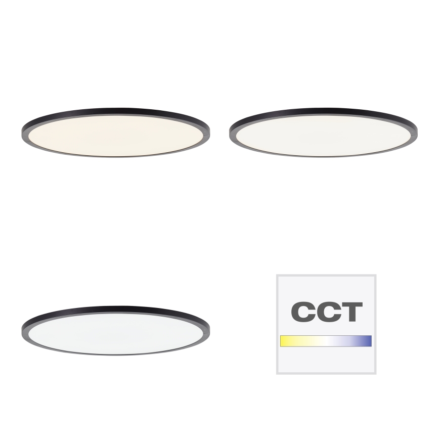 Brilliant - LED stmievateľné stropné svietidlo TUCO LED/33W/230V 3000-6500K pr. 50 cm čierne + diaľkové ovládanie