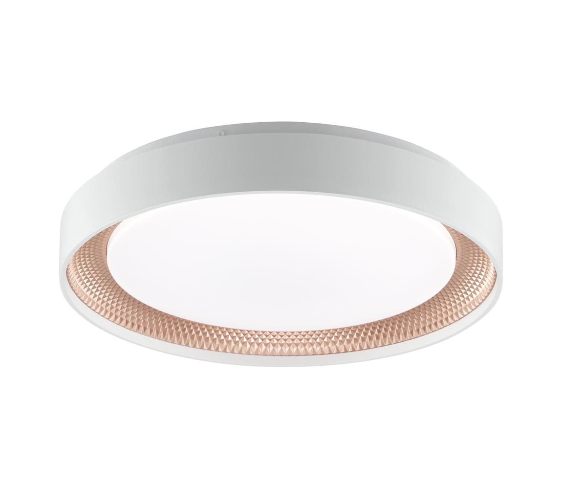 Brilliant - LED stmievateľné stropné svietidlo WALDO LED/24W/230V biela/ružovo-zlatá + DO G82015/85