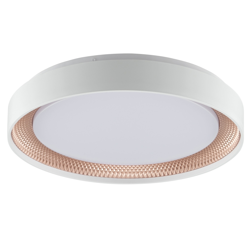 Brilliant - LED Stmievateľné stropné svietidlo WALDO LED/24W/230V 3000-6500K pr. 38,5 cm biela/ružové zlato + diaľkové ovládanie