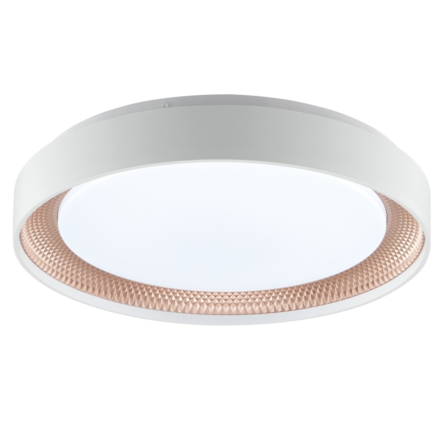 Brilliant - LED Stmievateľné stropné svietidlo WALDO LED/24W/230V 3000-6500K pr. 38,5 cm biela/ružové zlato + diaľkové ovládanie