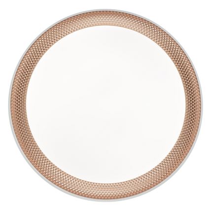 Brilliant - LED Stmievateľné stropné svietidlo WALDO LED/24W/230V 3000-6500K pr. 38,5 cm biela/ružové zlato + diaľkové ovládanie