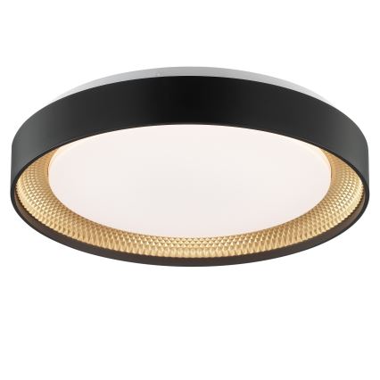 Brilliant - Stmievané stropné LED svietidlo WALDO LED/24W/230V 3000–6500K priemer 38,5 cm čierne/zlaté + diaľkové ovládanie