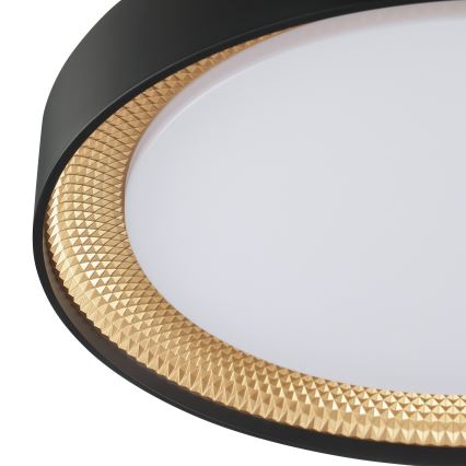 Brilliant - Stmievané stropné LED svietidlo WALDO LED/24W/230V 3000–6500K priemer 38,5 cm čierne/zlaté + diaľkové ovládanie