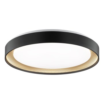 Brilliant - LED Stmievateľné stropné svietidlo WALDO LED/36W/230V 3000-6500K pr. 48,5 cm čierna/zlatá + diaľkové ovládanie