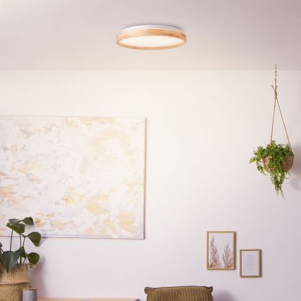 Brilliant - LED Stropné svietidlo ALSON LED/26W/230V 3000/4500K pr. 39,5 cm gumovník - FSC certifikované