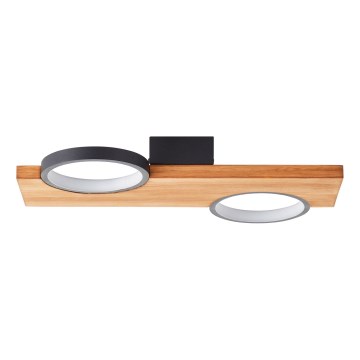 Brilliant - LED Stropné svietidlo CHEESY LED/14W/230V borovica - FSC certifikované
