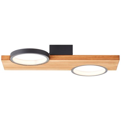 Brilliant - LED Stropné svietidlo CHEESY LED/14W/230V borovica - FSC certifikované
