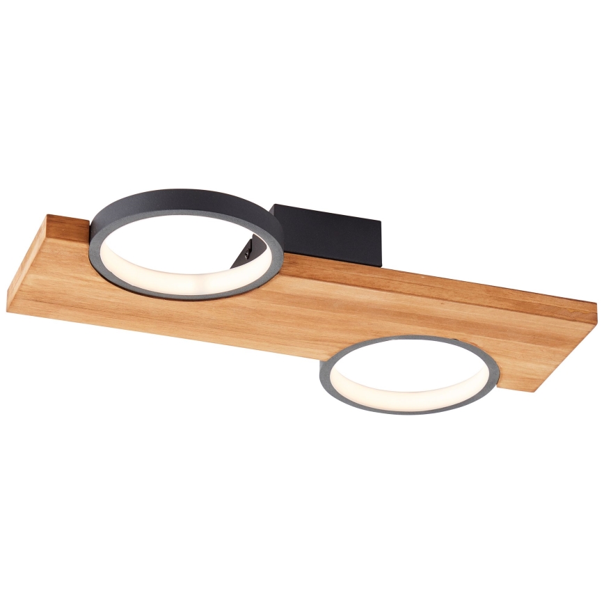 Brilliant - LED Stropné svietidlo CHEESY LED/14W/230V borovica - FSC certifikované