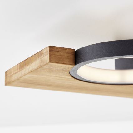 Brilliant - LED Stropné svietidlo CHEESY LED/14W/230V borovica - FSC certifikované