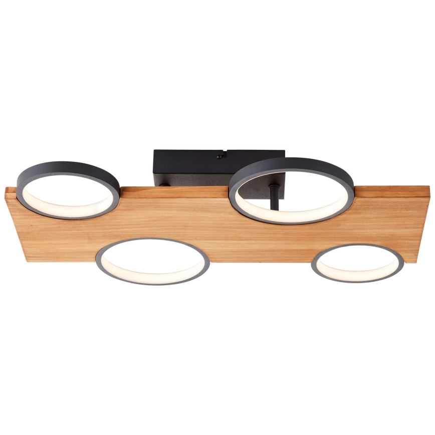 Brilliant - LED Stropné svietidlo CHEESY LED/28W/230V borovica - FSC certifikované