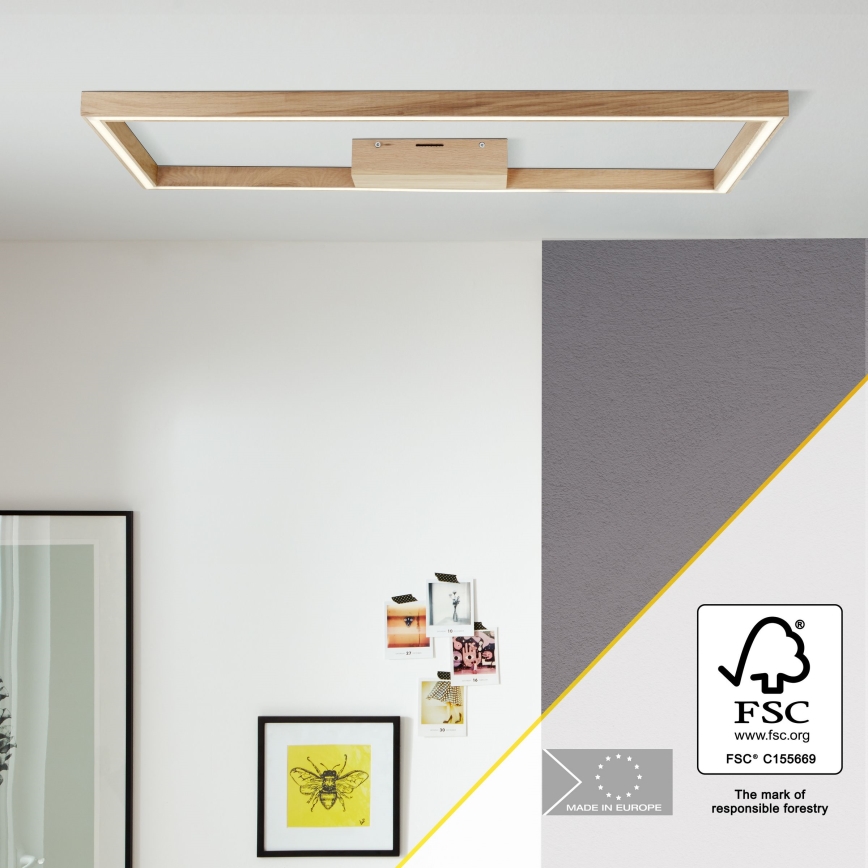 Brilliant - LED Stropné svietidlo DELGROSSO LED/24W/230V 3000K dub