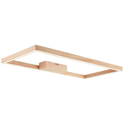 Brilliant - LED Stropné svietidlo DELGROSSO LED/24W/230V 3000K dub